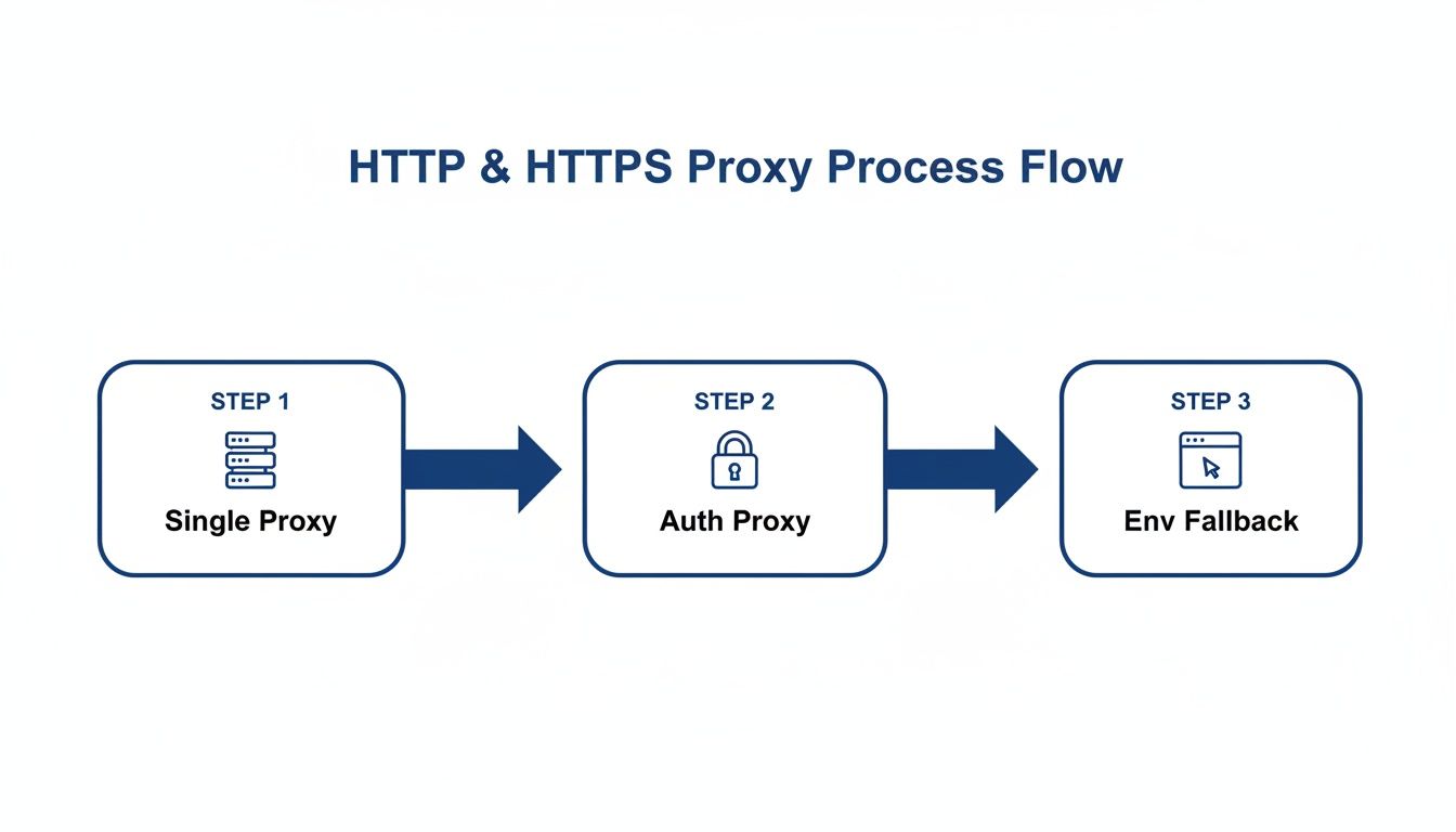 Flowchart showing the HTTP and HTTPS proxy process, including single proxy, auth proxy, and environment fallback steps.