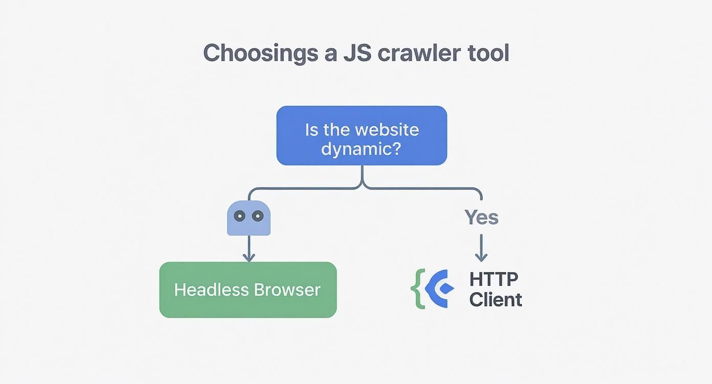 Infographic about web crawler in javascript