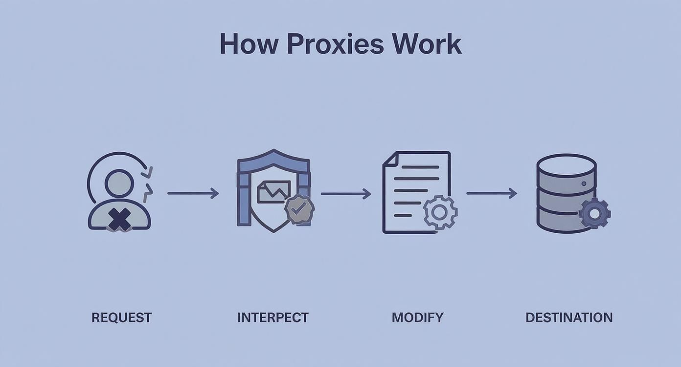 Infographic about transparent proxy servers