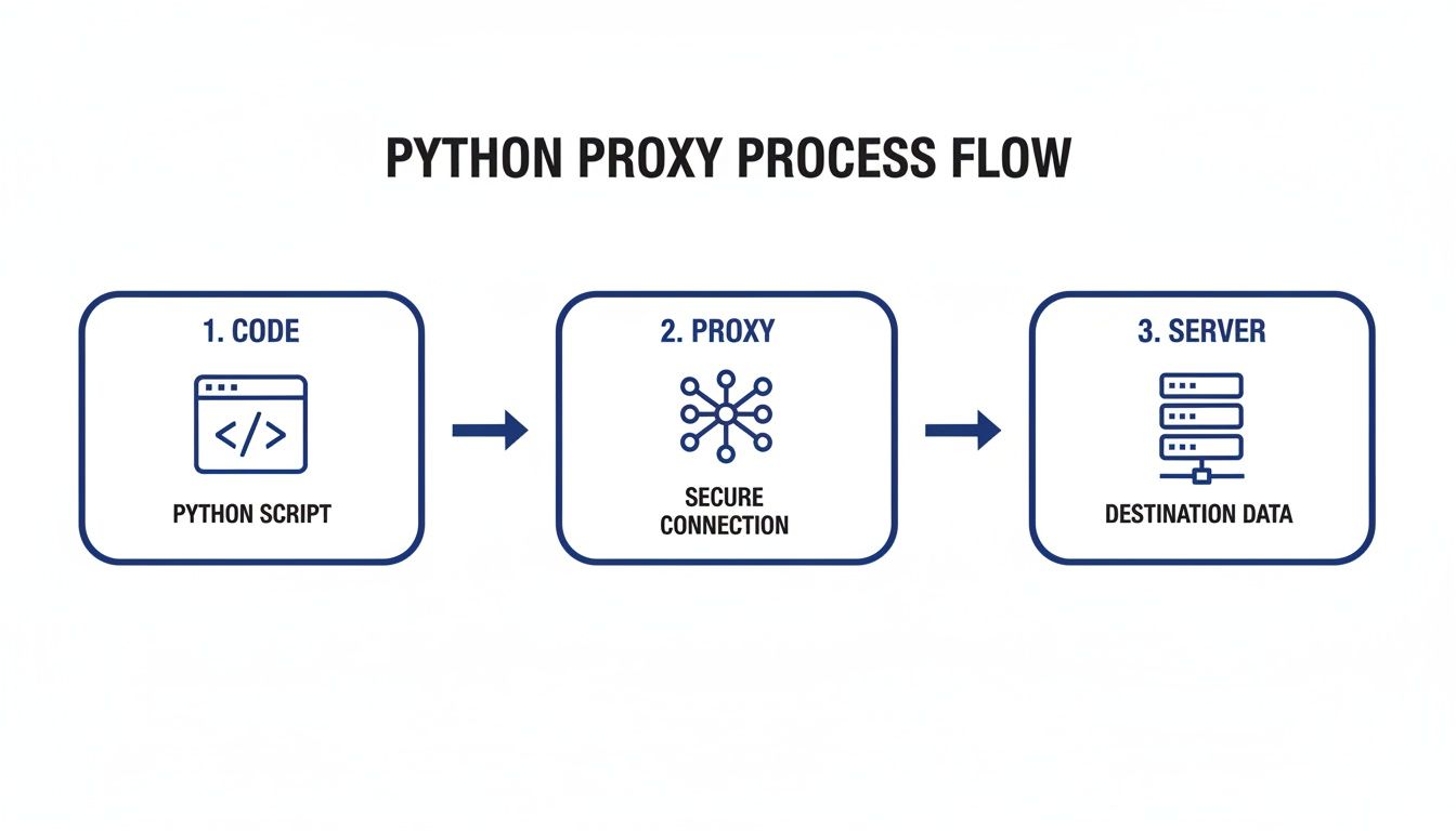 Diagram showing Python proxy process flow: Python script to secure connection, then to server for data.
