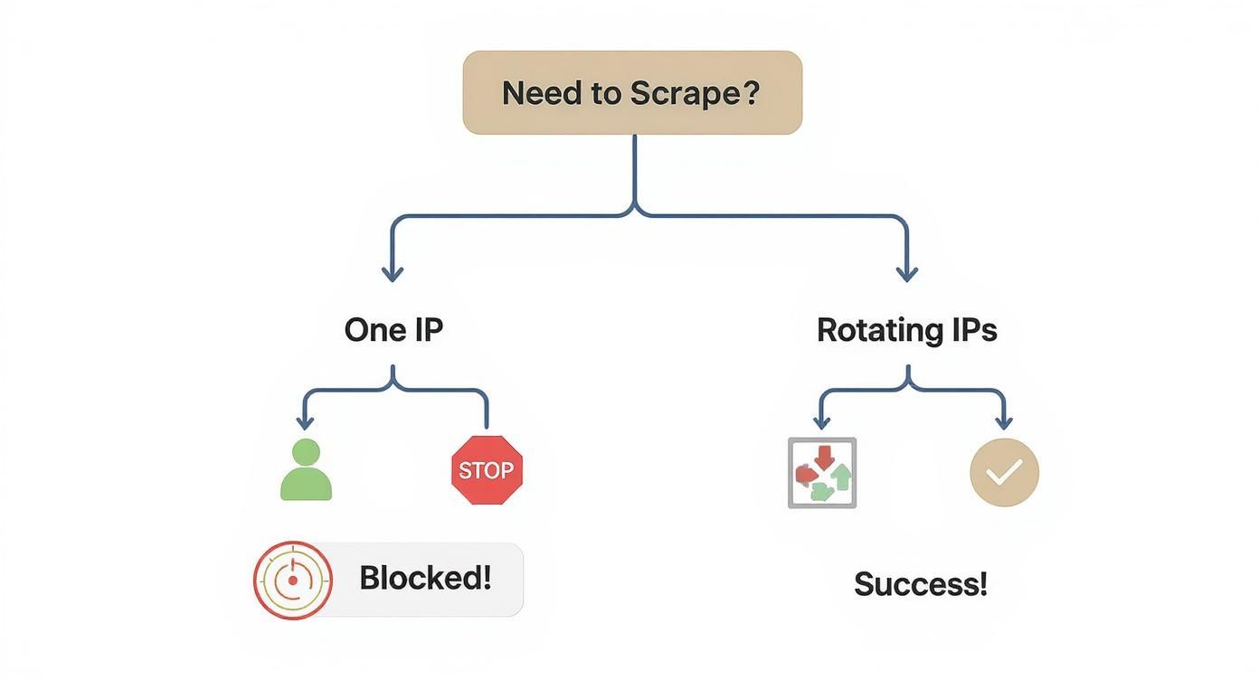 Infographic about rotating proxies for web scraping