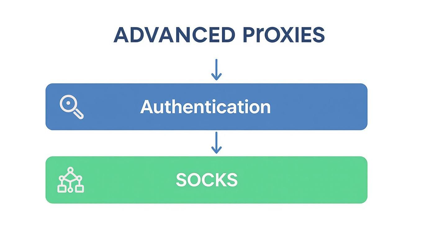 Infographic about python requests proxies