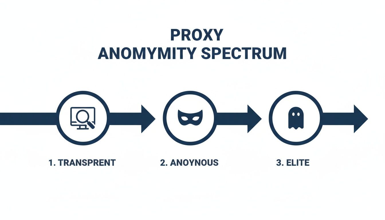 Infographic illustrating the proxy anonymity spectrum from transparent to anonymous to elite, with icons.