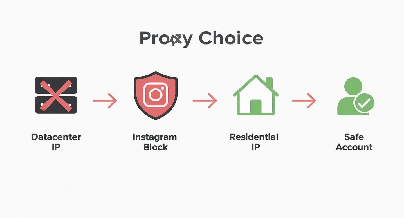 Infographic about residential proxies for instagram