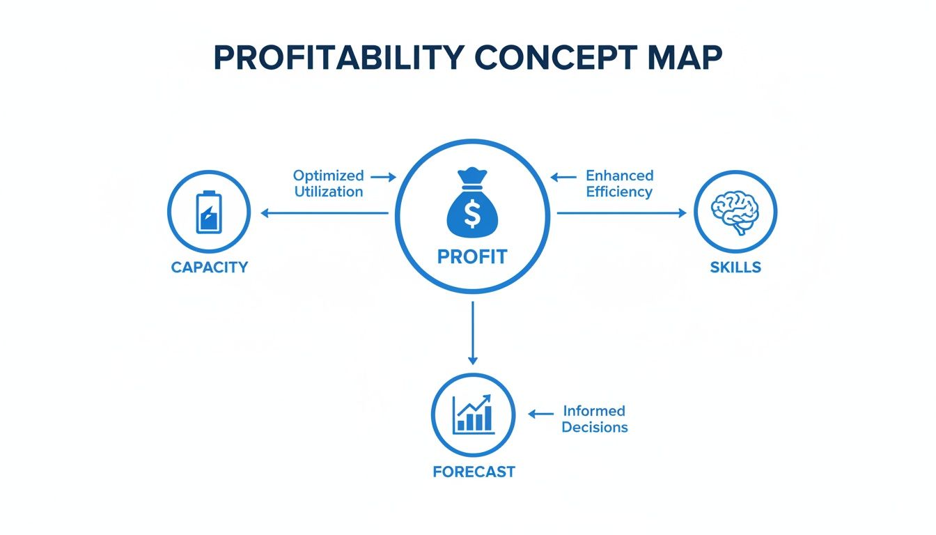 A concept map illustrating profitability influenced by capacity, skills, and leading to informed forecasts.