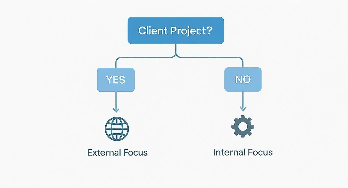 Infographic about project management for consultants