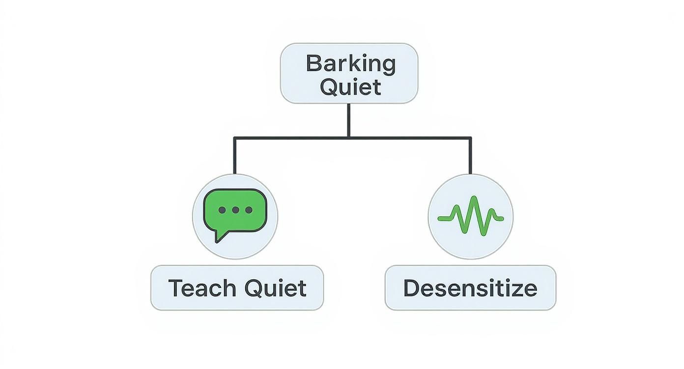 Infographic about dog barking all night