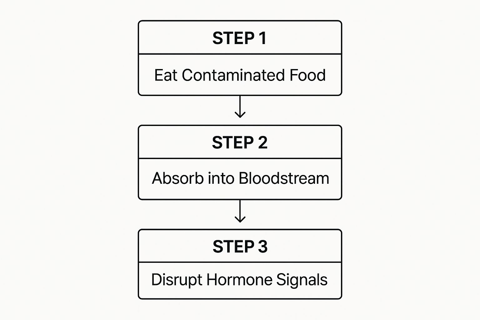 Infographic about endocrine disruptors in food