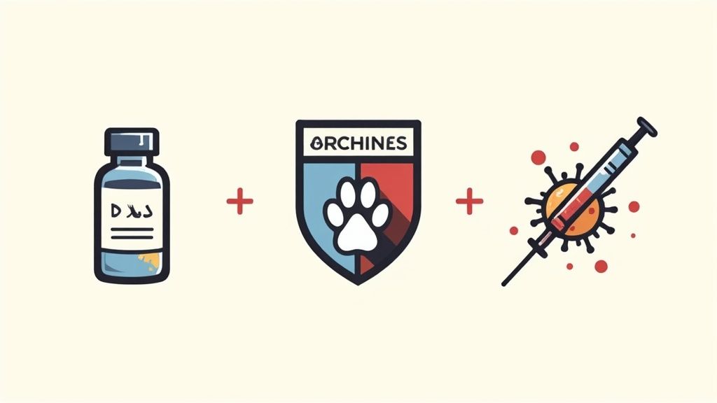 A small, fluffy dog looking up attentively at its owner.