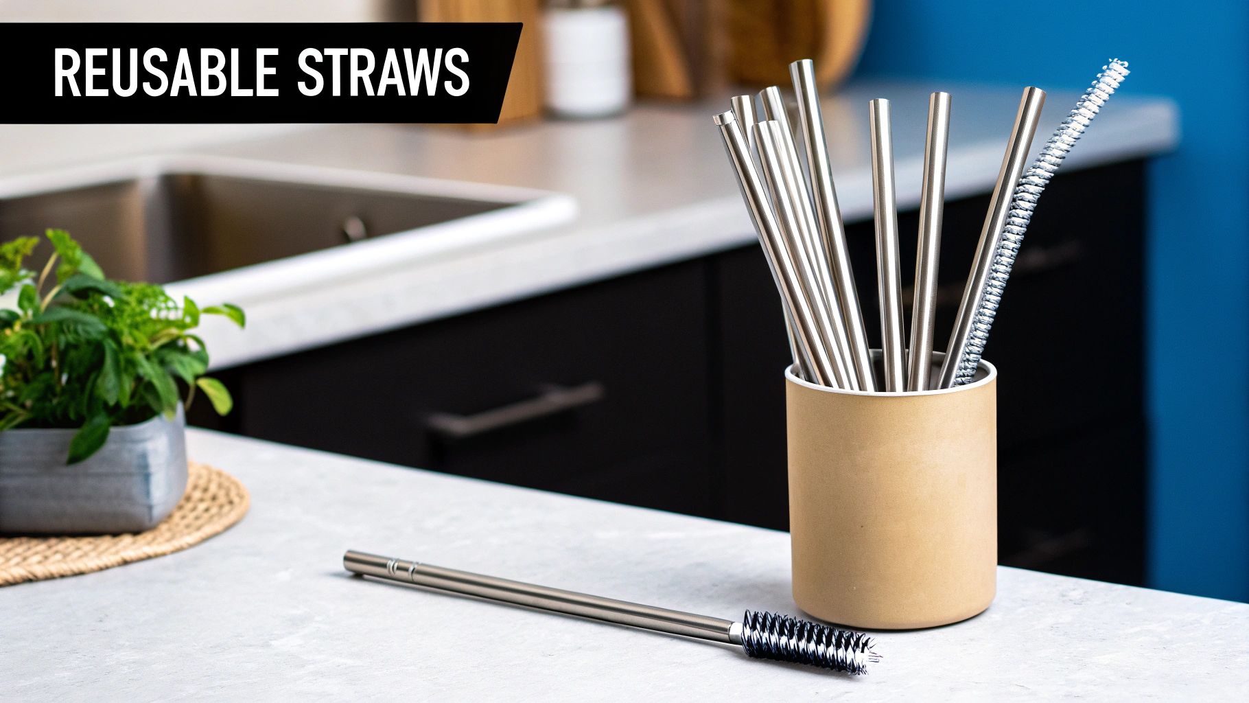 Stainless Steel Straws with Cleaning Brush