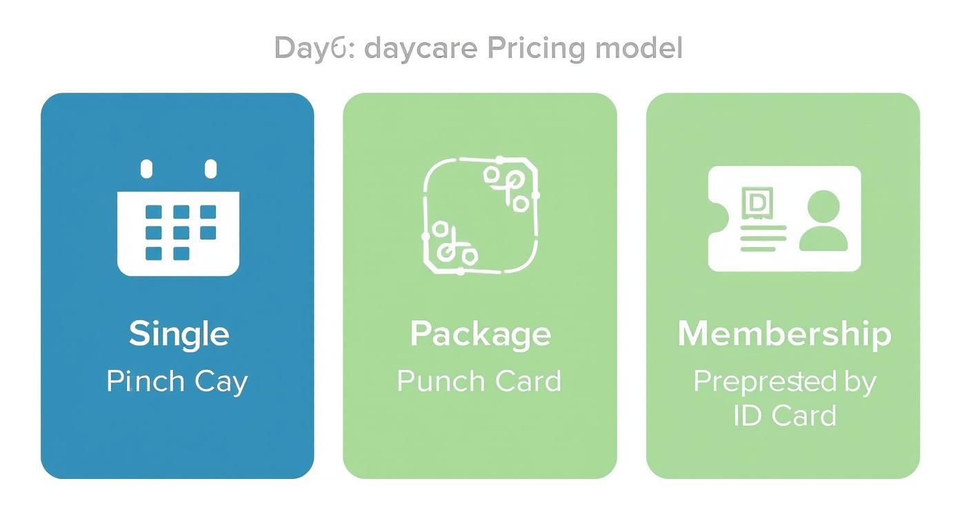 Infographic about how much is dog daycare