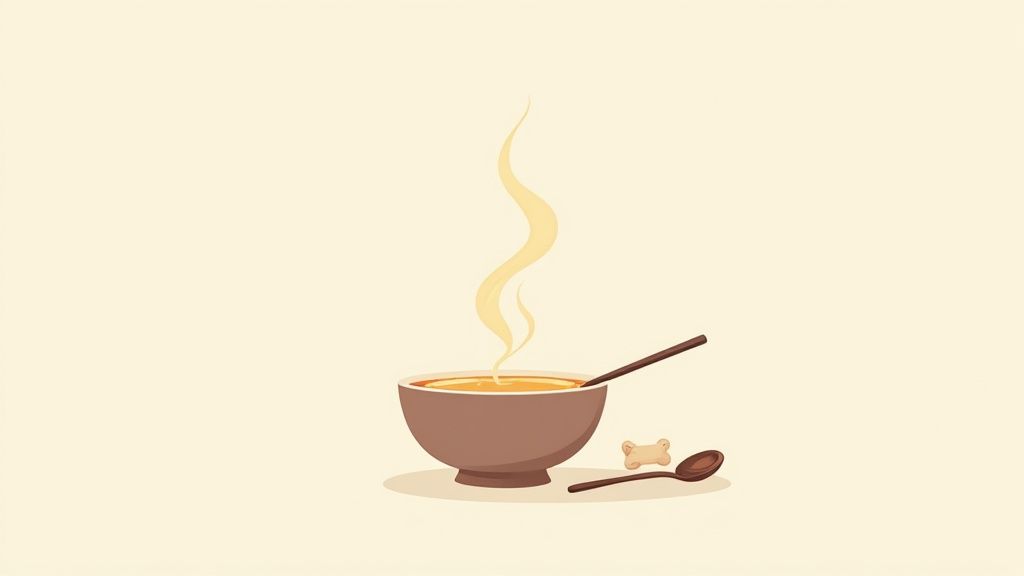 Bone Broth and Collagen Support