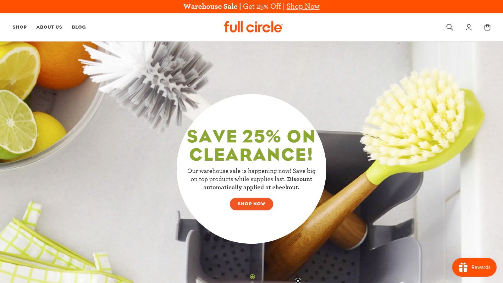 Full Circle Bubble Up Dish Brush Set