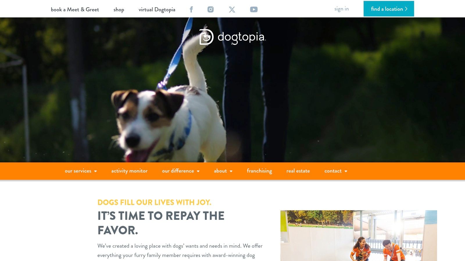 Dogtopia playroom with dogs and a Canine Coach