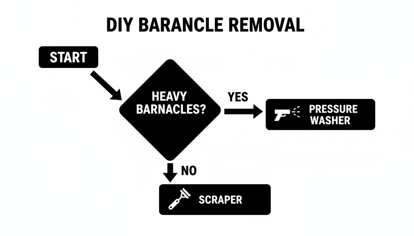 A flowchart illustrating DIY barnacle removal methods: pressure washing for heavy barnacles, and scraping for lighter ones.