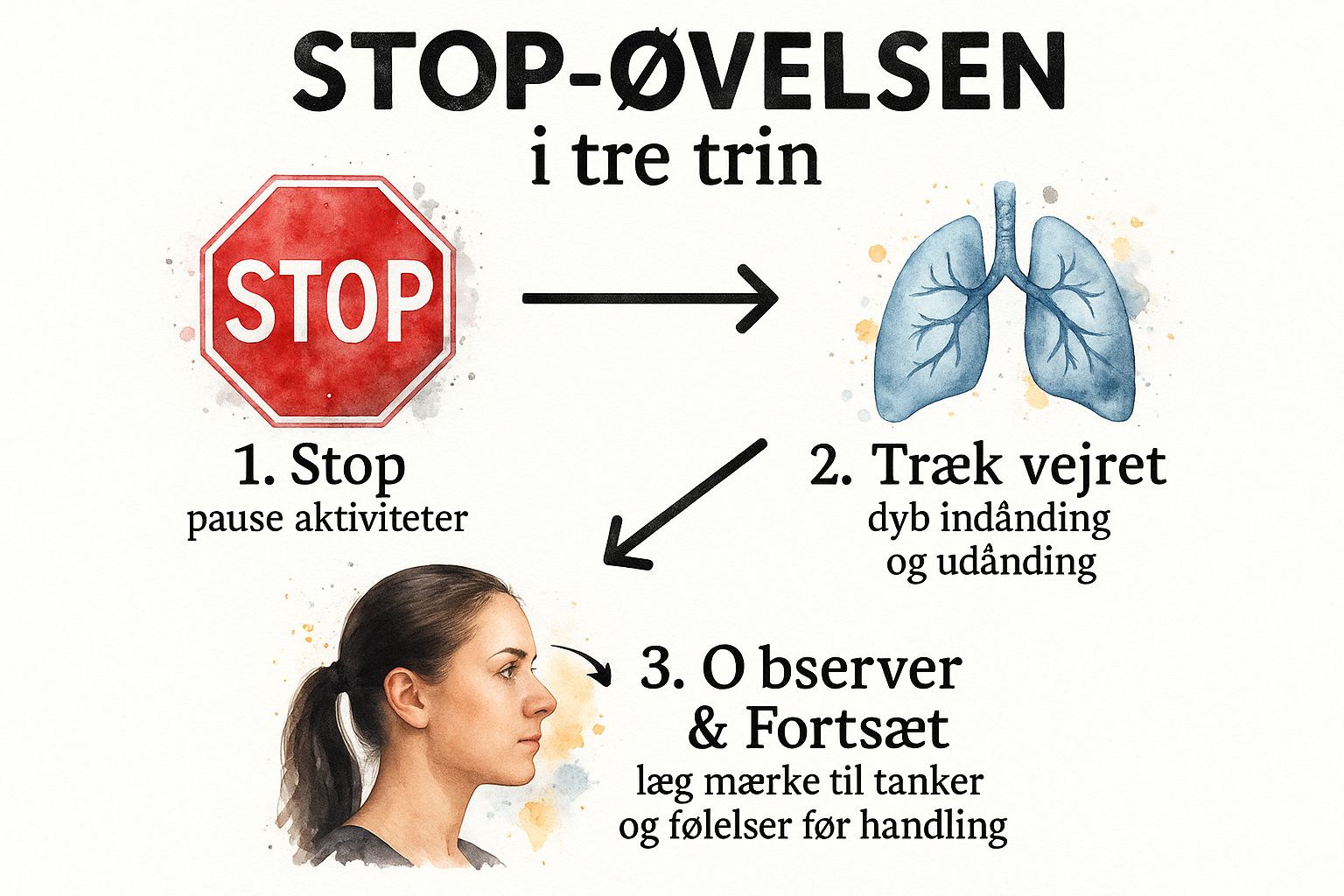 Infographic showing key data about STOP-øvelsen (The STOP Practice)