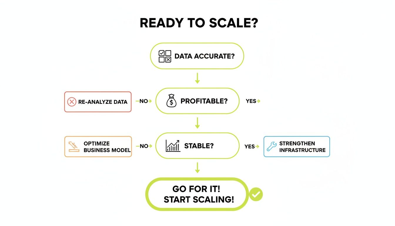 How to Scale Facebook Ads Without Wasting Your Budget