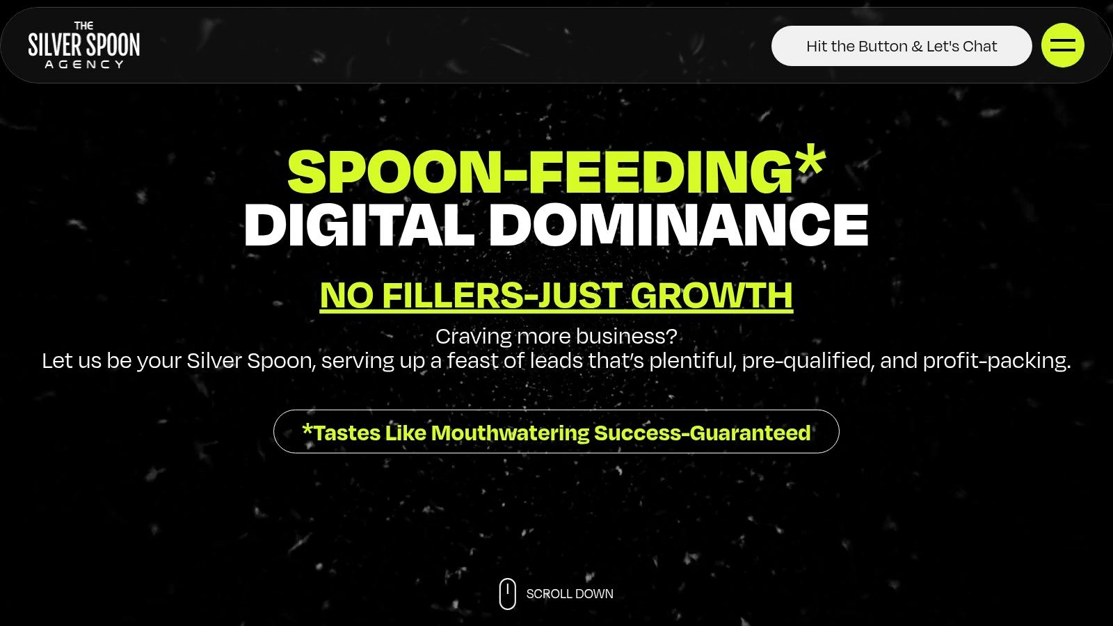Silver Spoon Agency website homepage featuring their value proposition.
