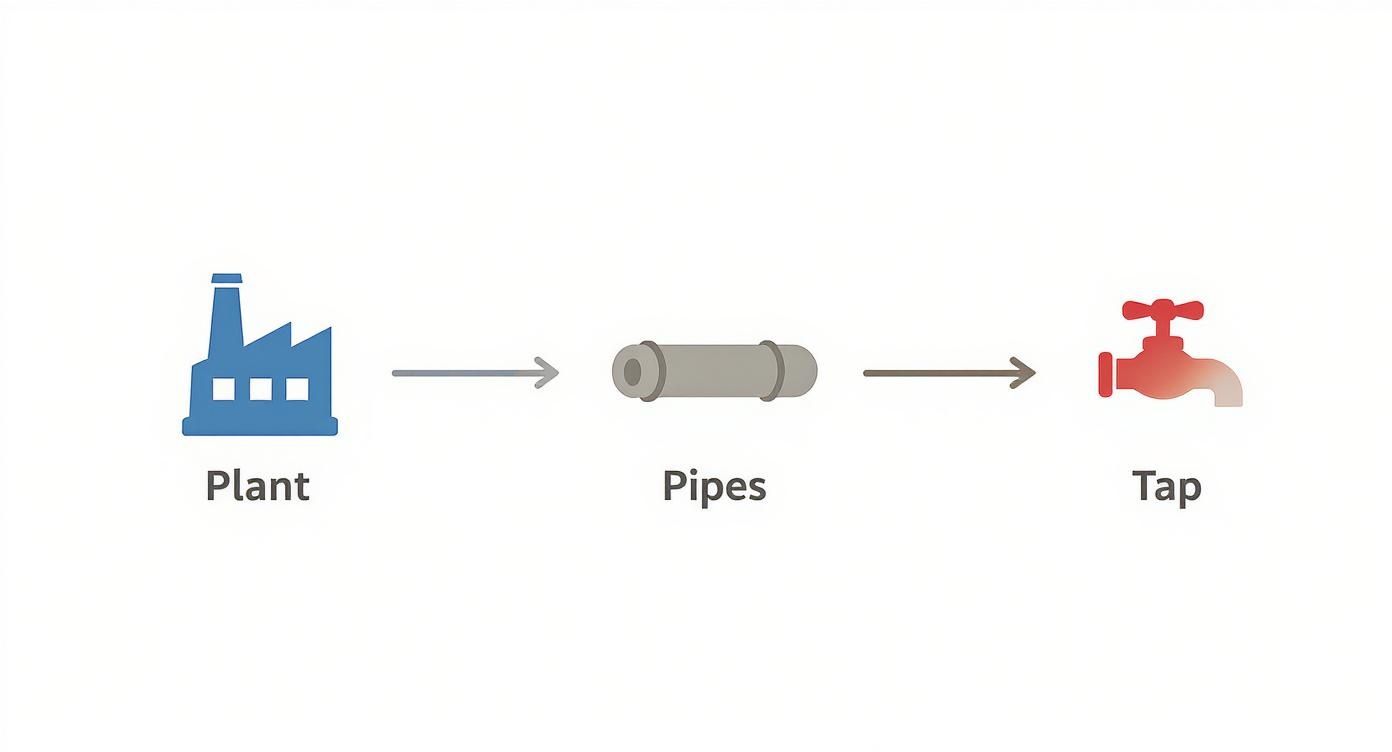 Infographic about water filtration dubai