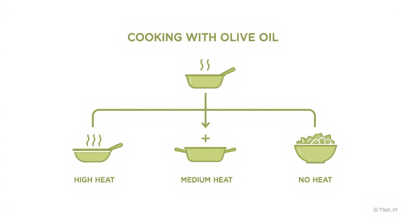 Infographic about best olive oil for cooking