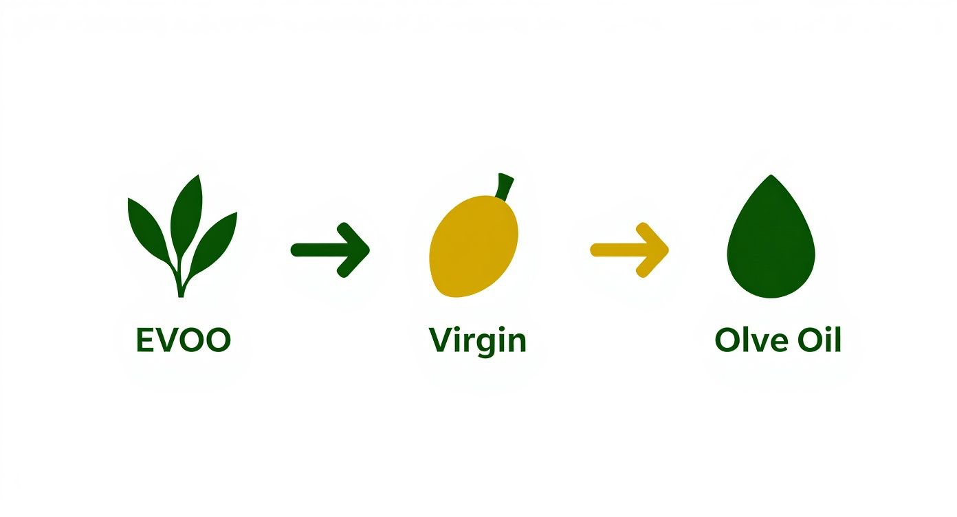 Infographic about virgin olive oil