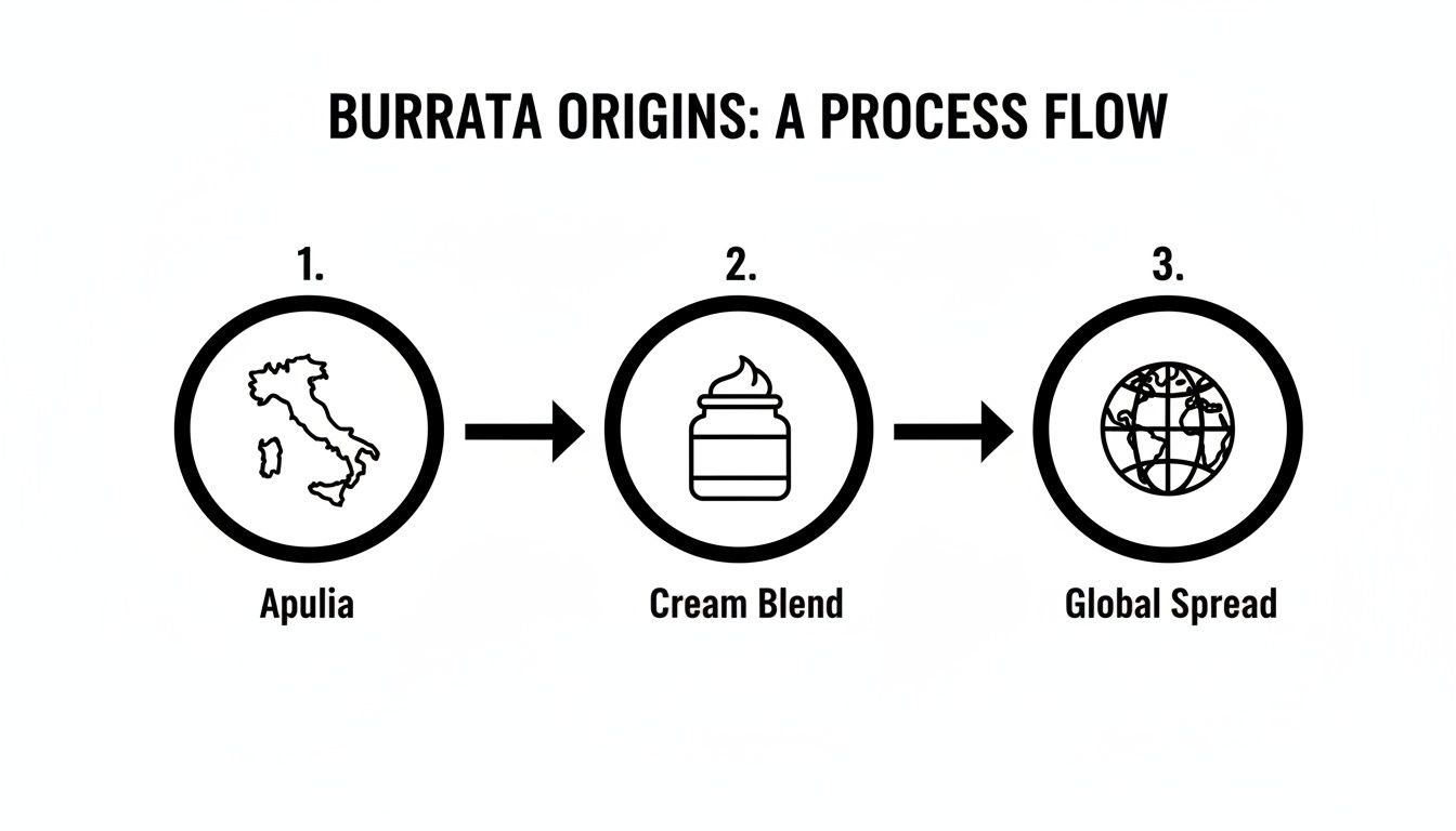 Infographic about what is burrata cheese
