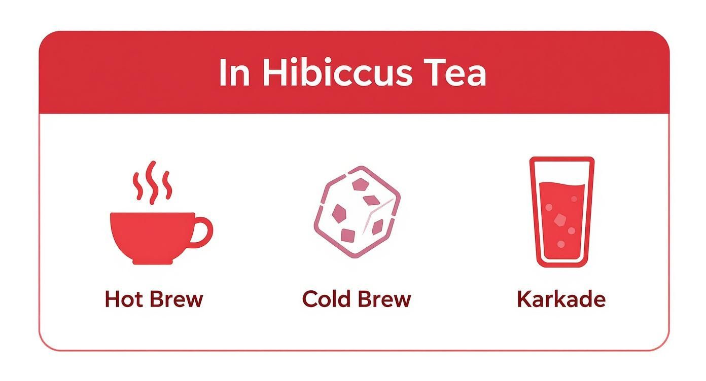 Three ways to enjoy hibiscus tea: hot brew, cold brew, and karkade beverage options