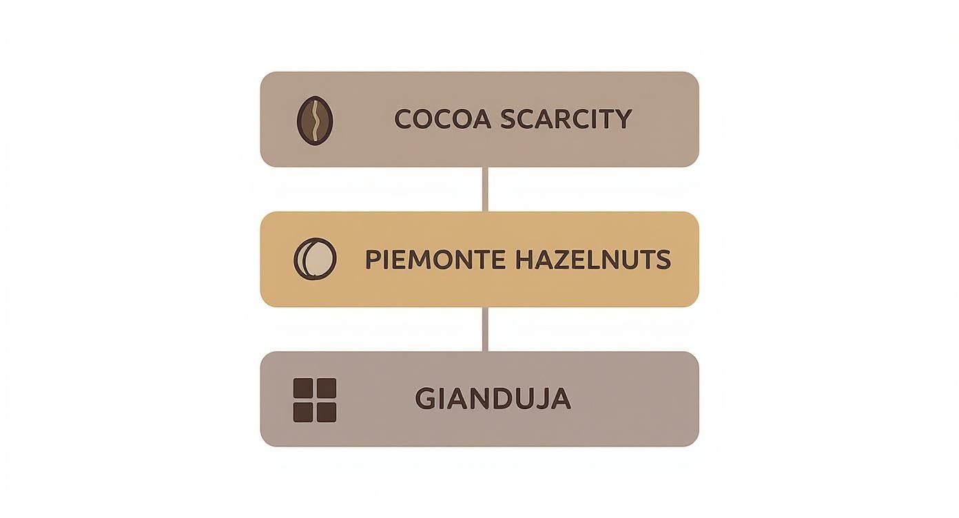 Flowchart illustrating the historical connection between cocoa scarcity, Piemonte hazelnuts, and the creation of Gianduja.