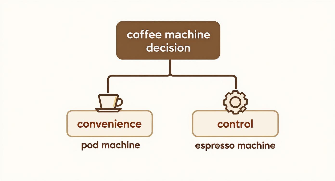 Infographic about coffee machine espresso machine