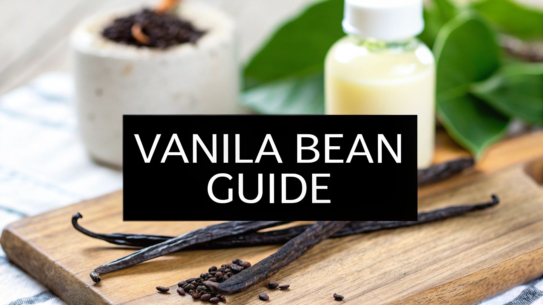 A Guide to Cooking with a Vanilla Bean Pod