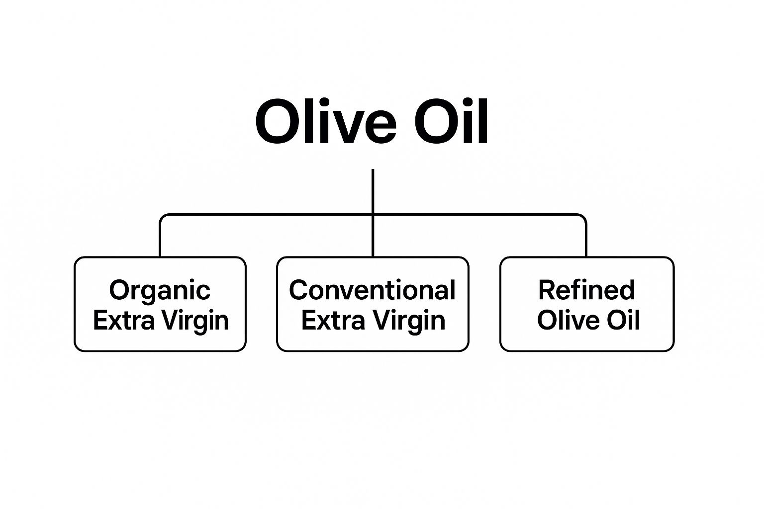 Flowchart with "Olive Oil" at top. Branches to "Organic Extra Virgin," "Conventional Extra Virgin," and "Refined Olive Oil" in boxes.