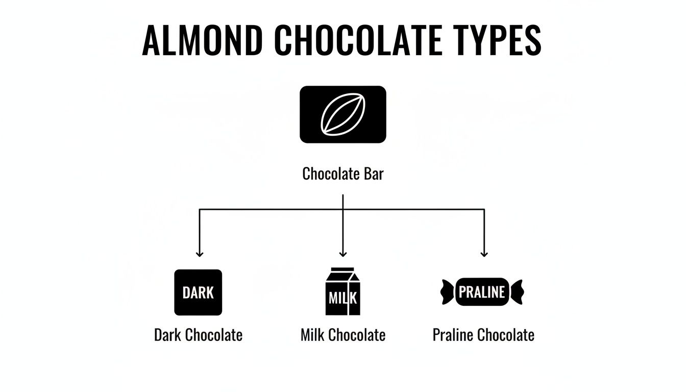 Flowchart illustrating almond chocolate types: dark, milk, and praline varieties from a chocolate bar.