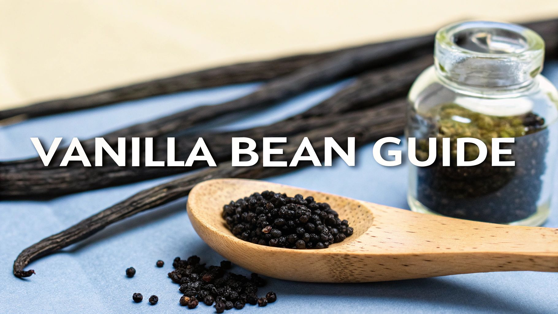 Your Guide to Using Vanilla Bean Pods