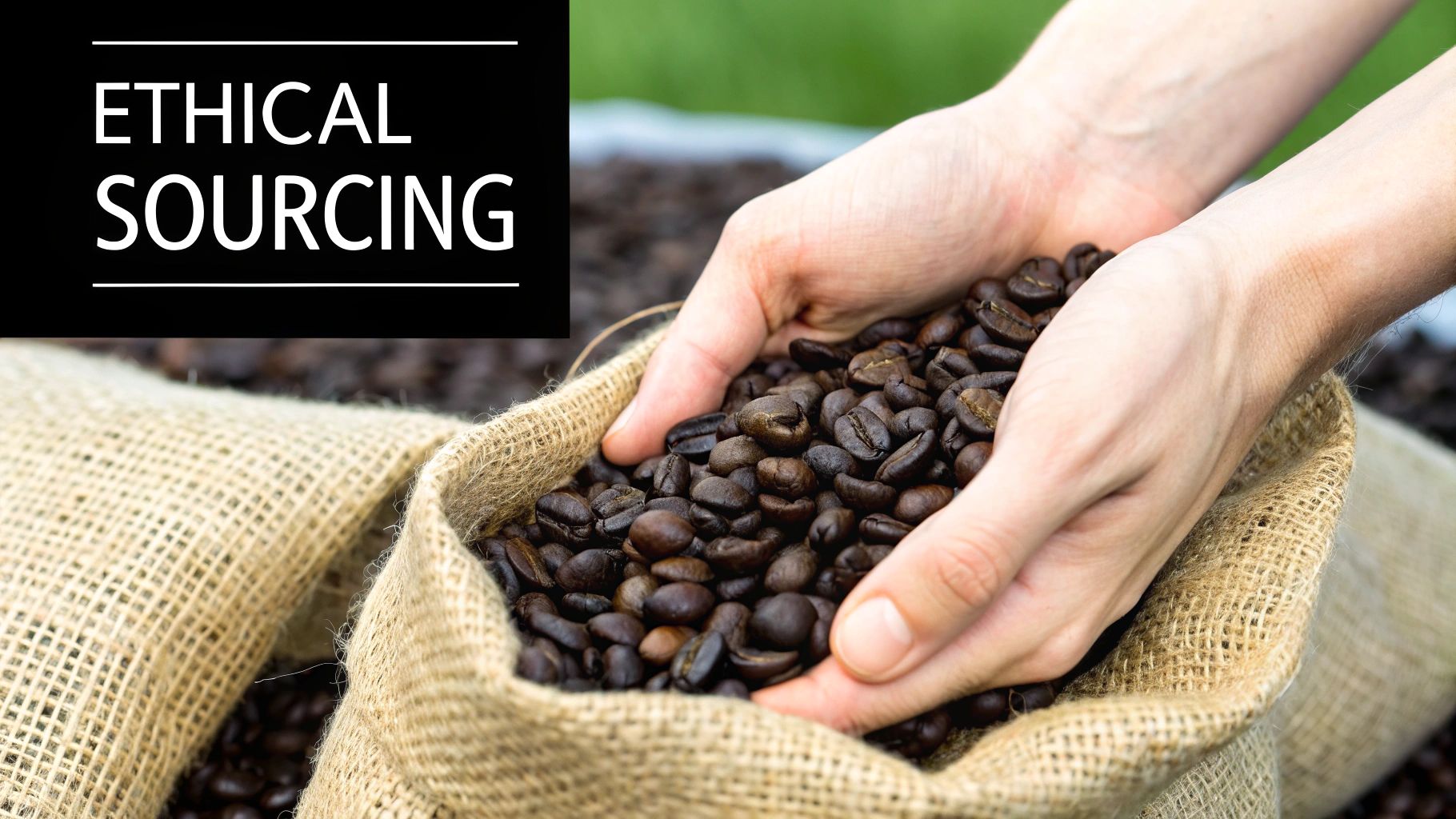 Hands holding coffee beans over a burlap sack, green background. Text reads "Ethical Sourcing." Emphasis on sustainability.