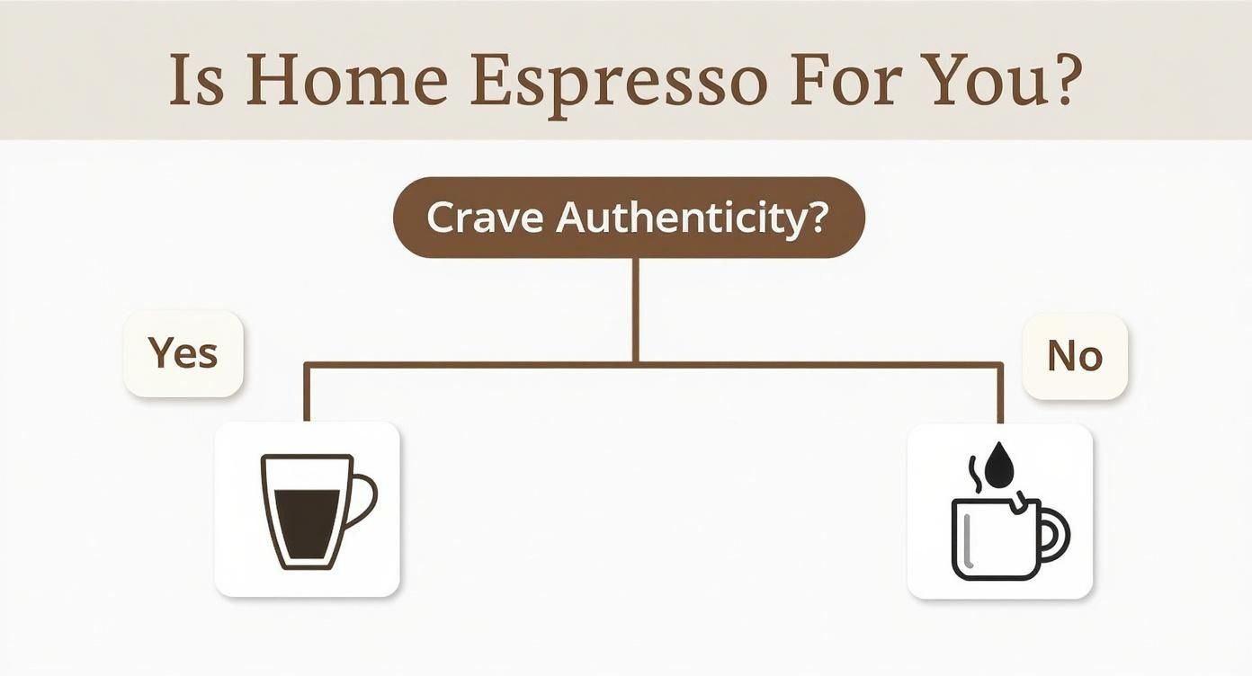 A decision tree asks 'Is Home Espresso For You?' then 'Crave Authenticity?', leading to coffee cup icons.