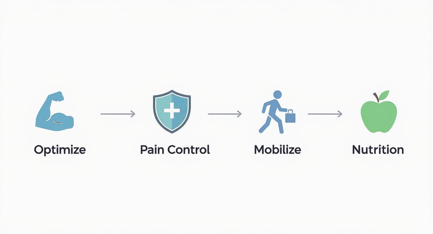 A Patient's Guide to Enhanced Recovery After Surgery 2 A four-step process diagram showing optimize, pain control, mobilize, and nutrition with corresponding icons.