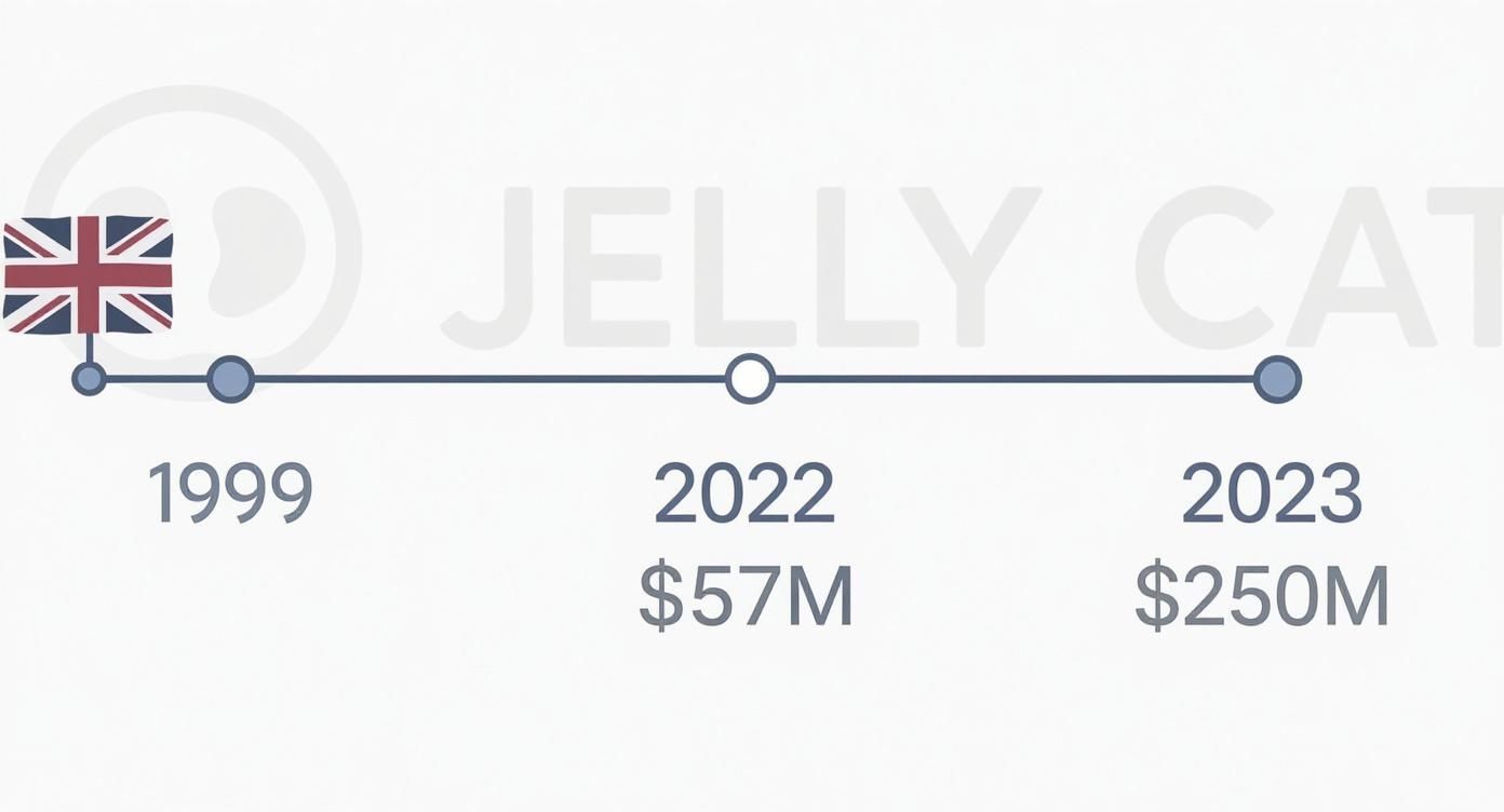 Infographic showing the timeline of Jellycat's revenue growth from its founding in 1999 to reaching $250M in 2023.