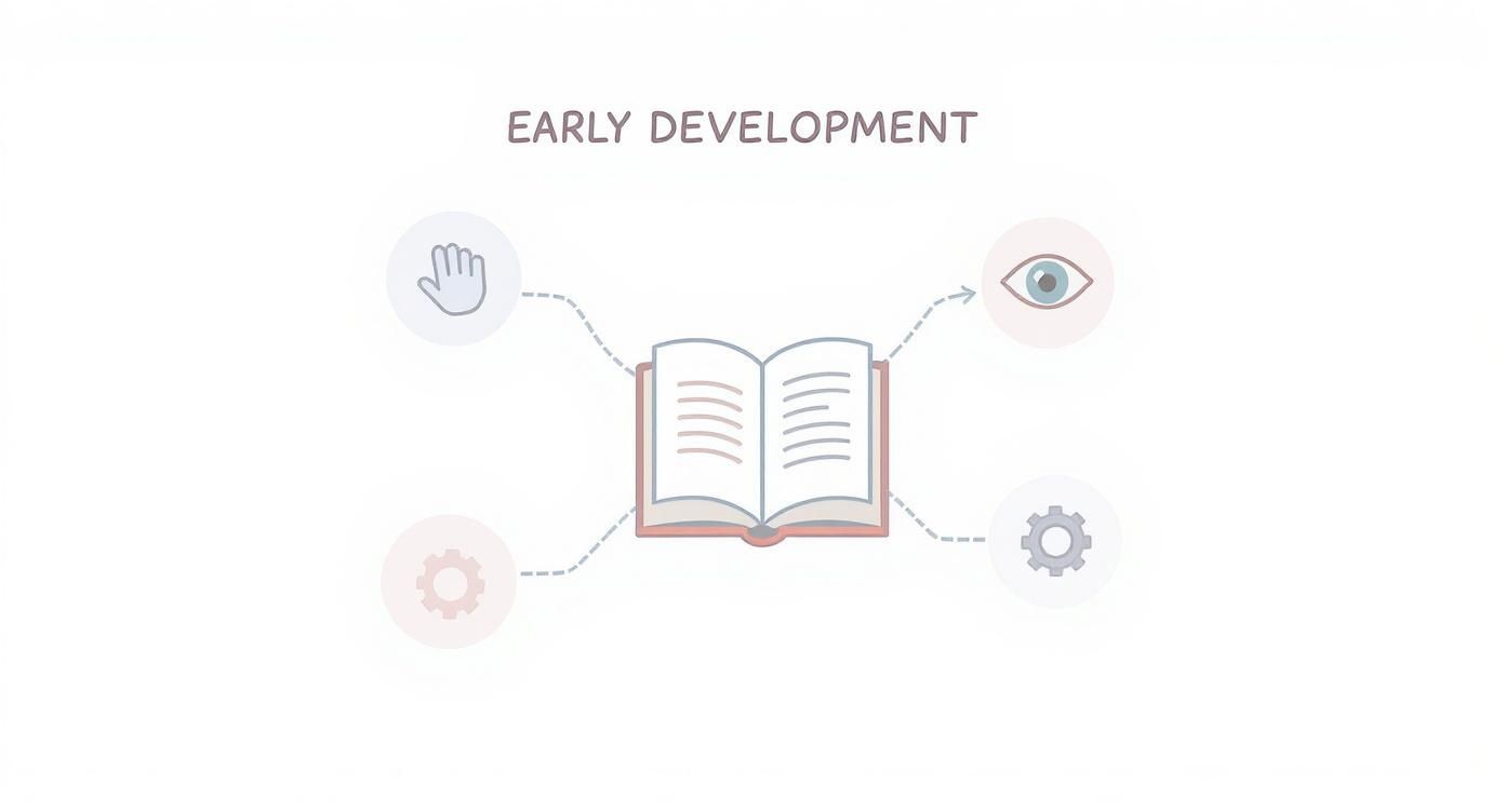 Infographic about jellycat books tails