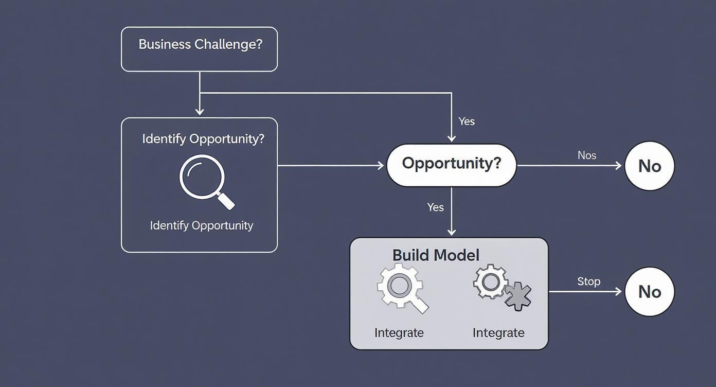 Infographic about machine learning consultants