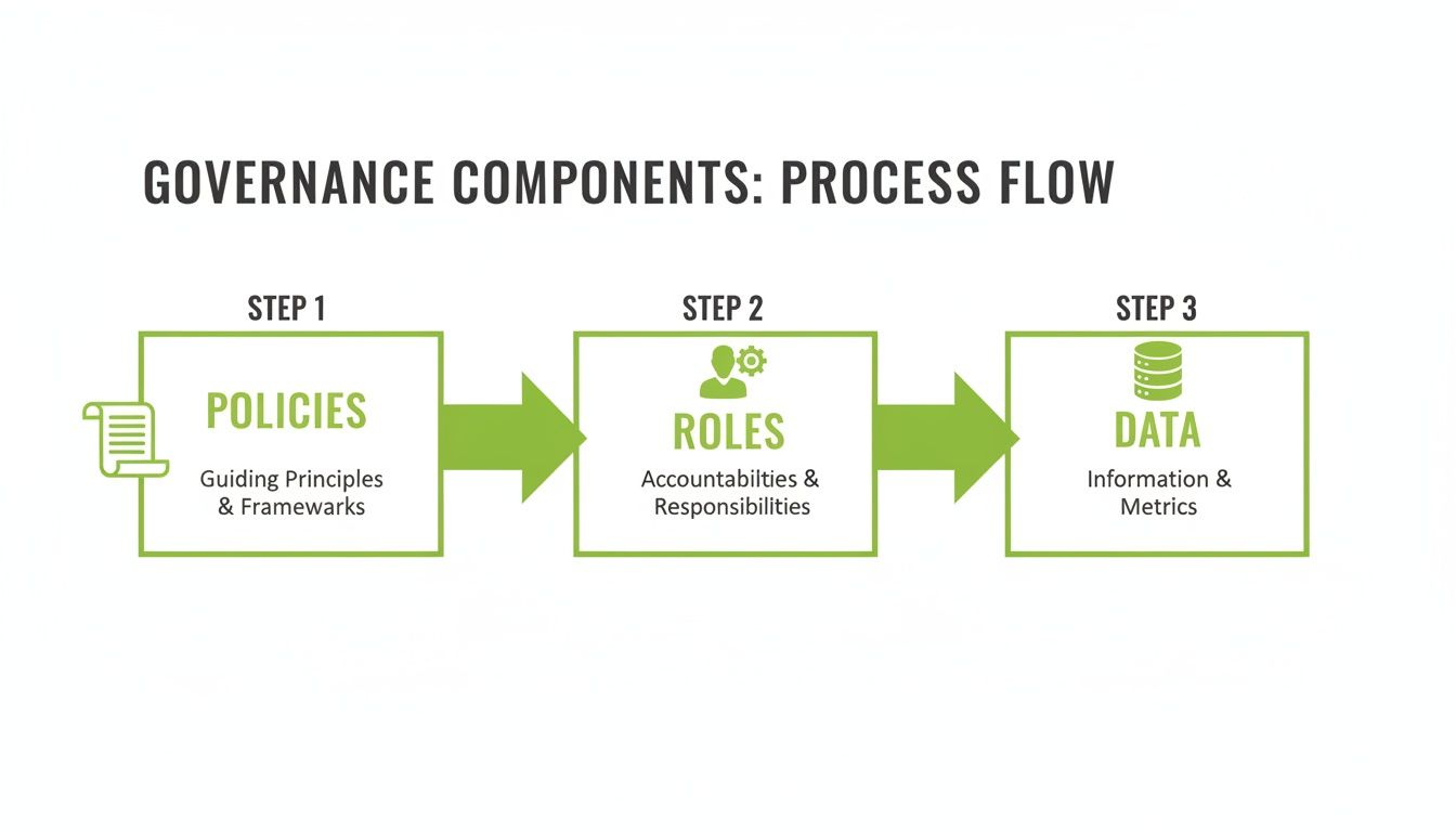 A process flow diagram illustrating governance components: Policies, Roles, and Data, in three sequential steps.