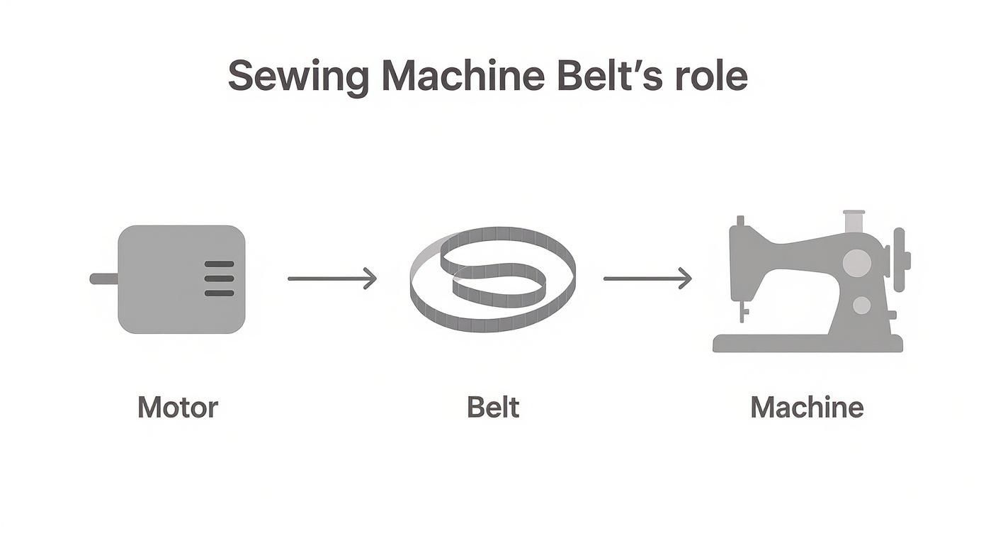 Diagram illustrating the role of a sewing machine belt, connecting the motor to the machine.