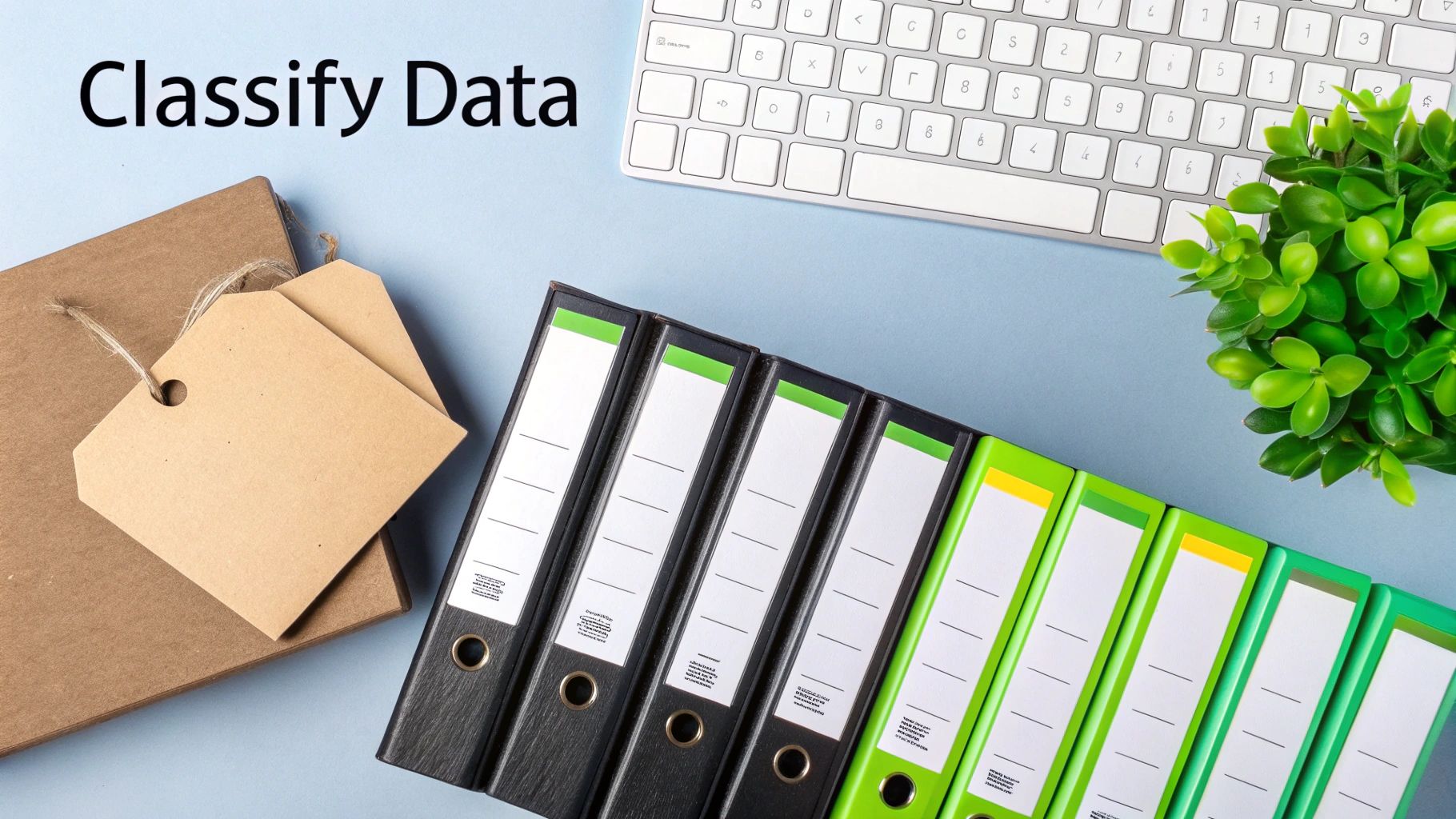 Data Classification and Access Controls