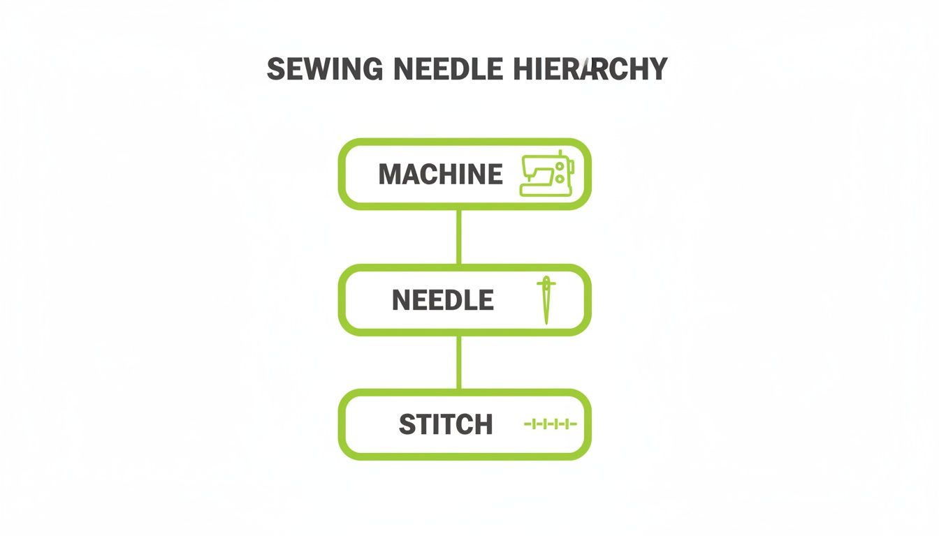 A hierarchical diagram illustrating the relationship between a sewing machine, needle, and stitch.