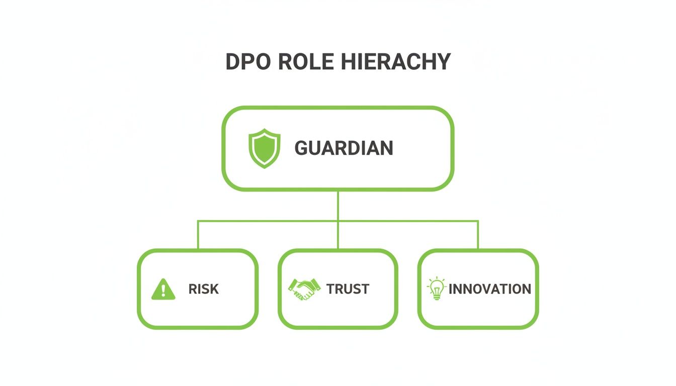 A DPO role hierarchy chart showing Guardian overseeing Risk, Trust, and Innovation responsibilities.