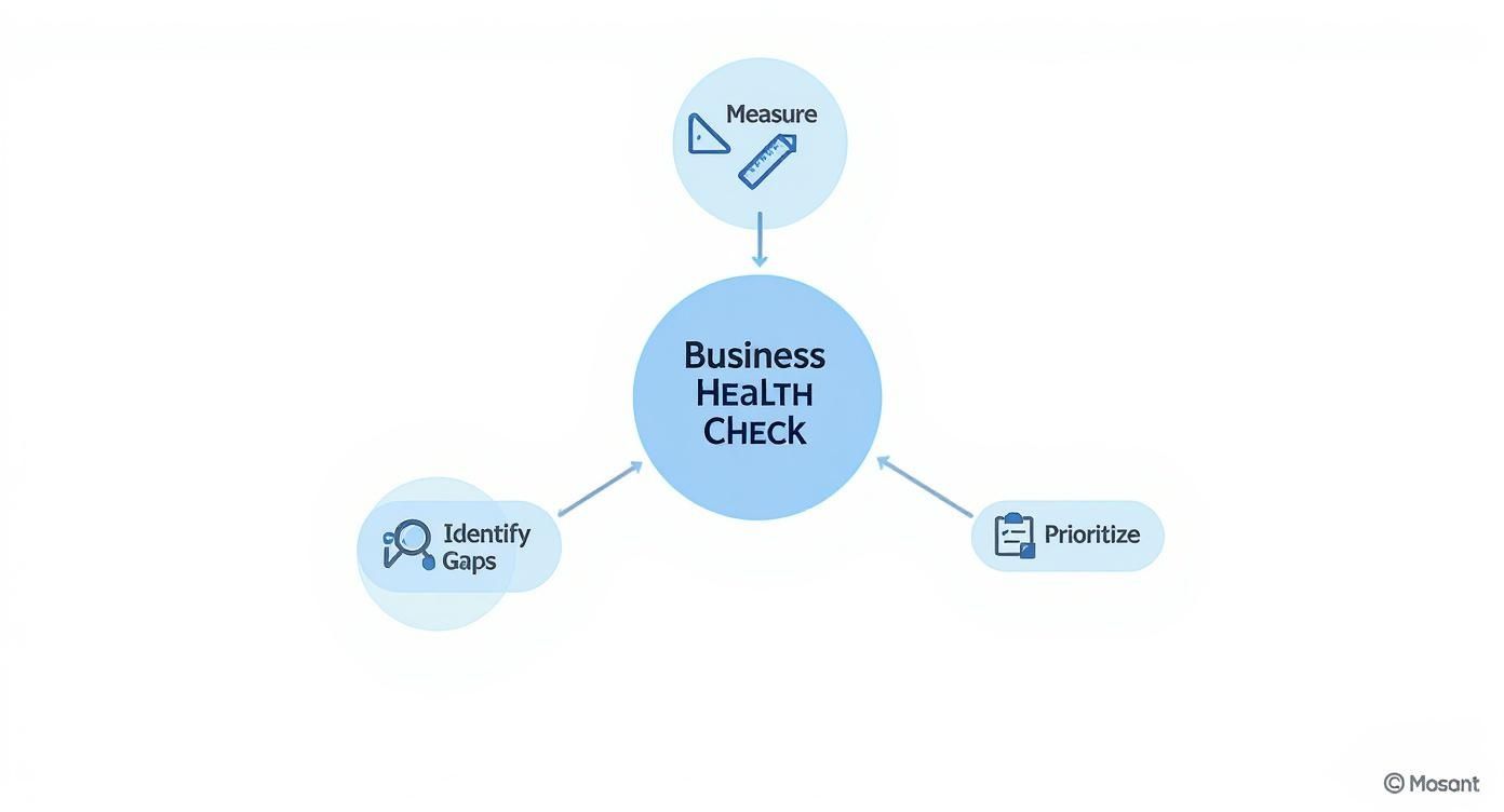 Infographic about digital maturity assessment model