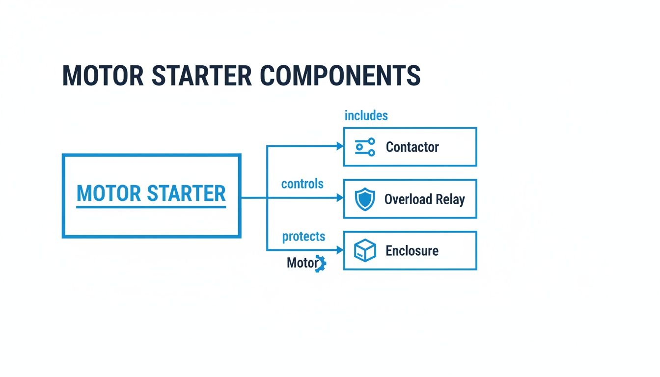 Diagram illustrating the components of a motor starter, including contactor, overload relay, and enclosure.