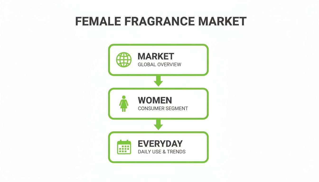 Flowchart showing female fragrance market analysis, from global overview to consumer segment and daily trends.