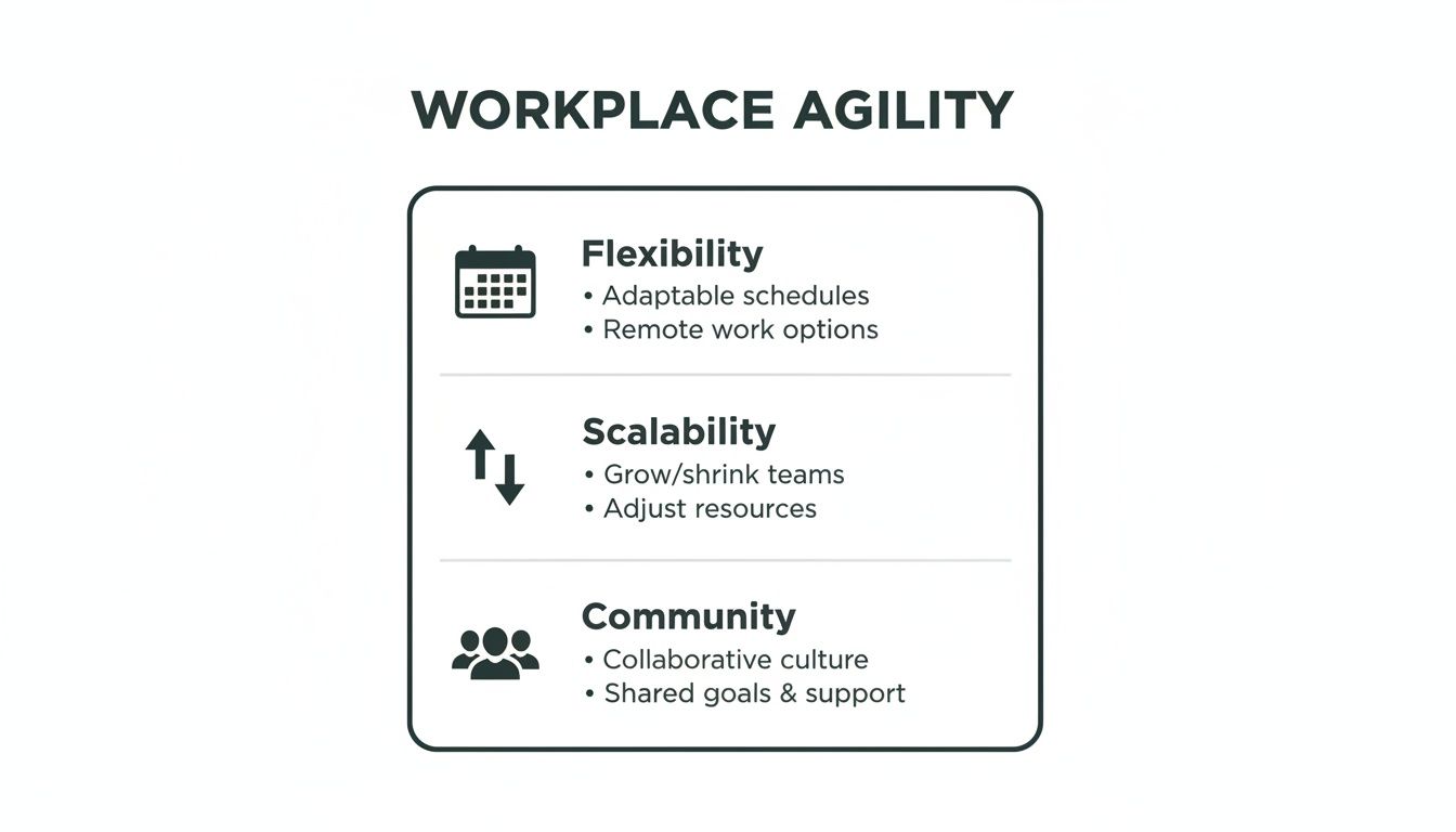 A diagram titled 'Workplace Agility' showing flexibility, scalability, and community with icons and descriptions.