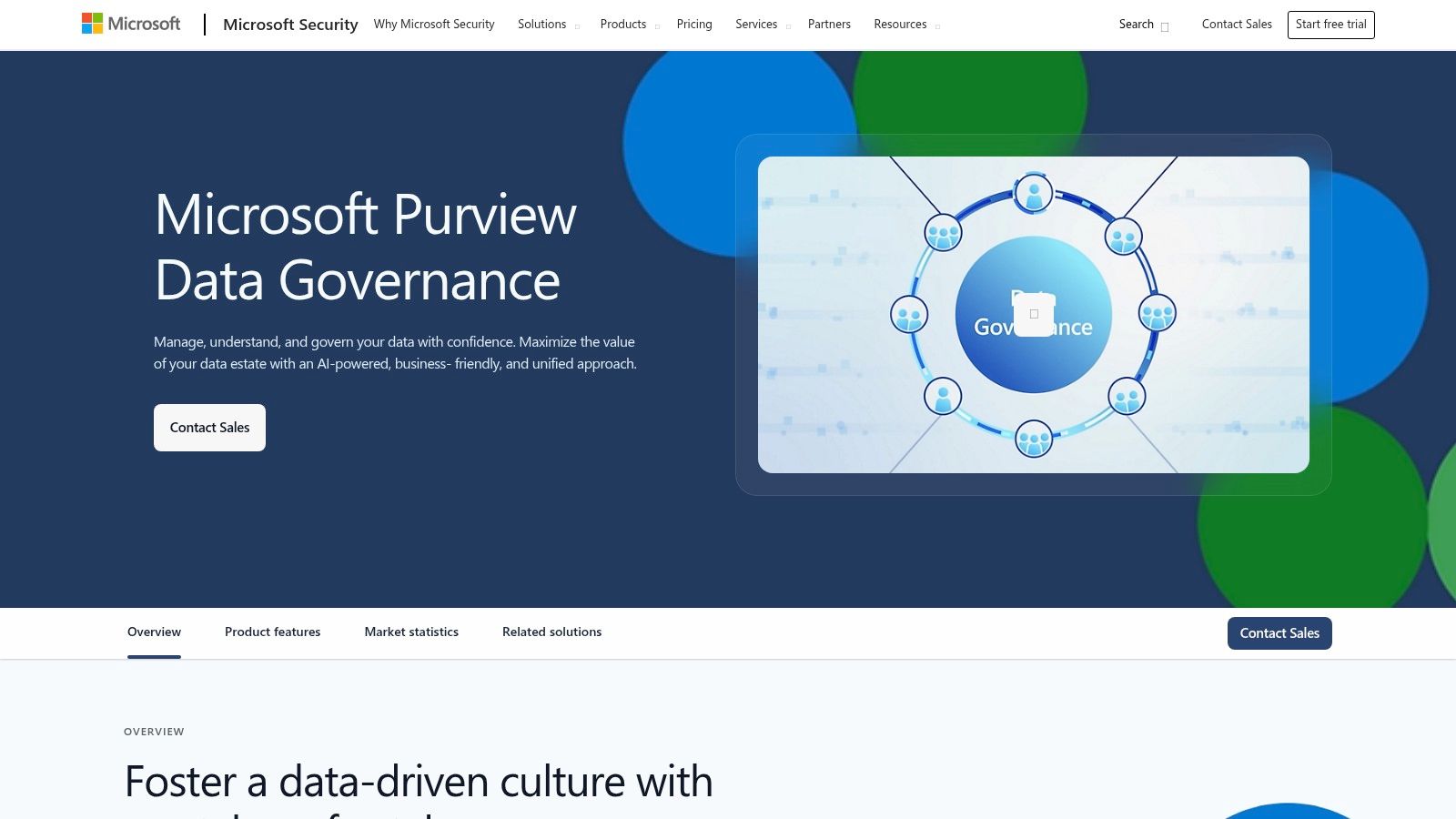Microsoft Purview Interface