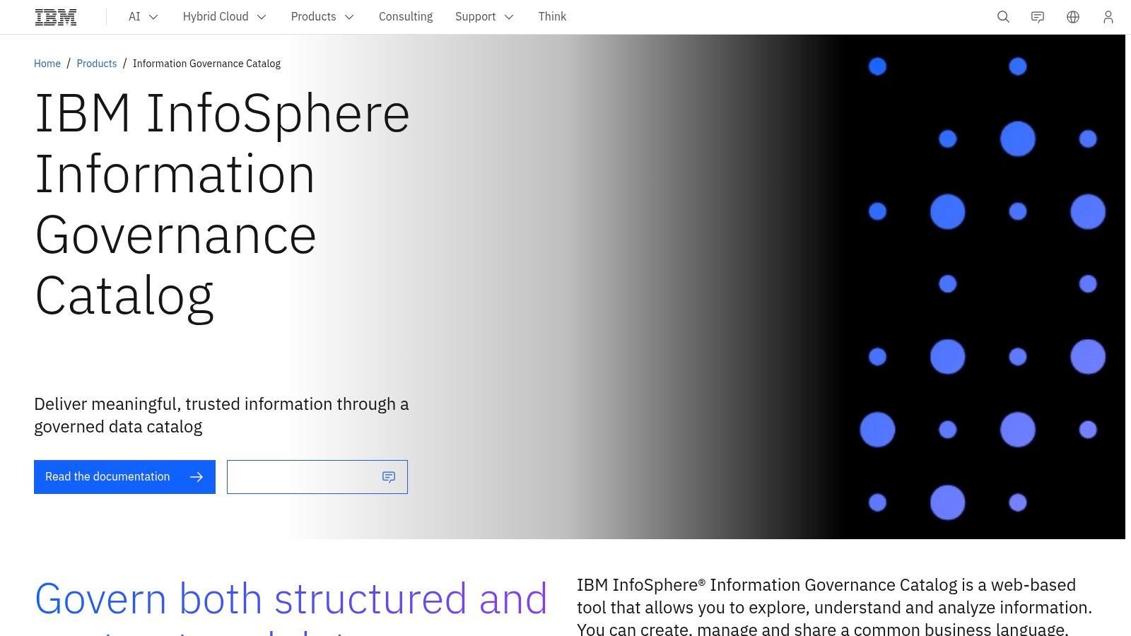 IBM Information Governance Catalog / Watson Knowledge Catalog (watsonx alignment)